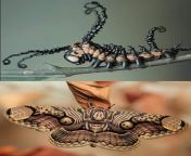 Brahmin Moth Caterpillar, before and after. from www brahmin aunty