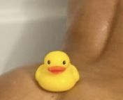 Guys look at this cool rubber duck I found from i found tiktok premium