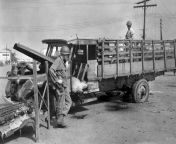 PFC. Basil Harvey looks at the damage his hand grenades did to the Japanese soldier in the driver seat of a truck while Filipino Jose Crudo checks the dead Japanese in the bed of the truck. Claro M. Recto Avenue, Manila, Philippines. February 1945. from veteran gambling site in the philippines hand lose6262（mini777 io）6060philippine fishing dragon tiger chess and lottery are all available hand lost6262（mini777 io）6060philippines no online entertainment vip treatment hand input6262（mini777 io）6060 fak