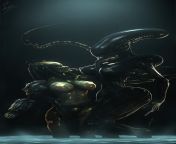 Xenomorph and Predator (Alien vs Predator) from alien vs predator shower