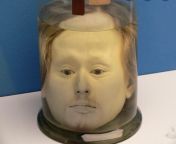 The Head of Diogo Alves, a Portuguese serial killer, preserved in a jar, 1840s from serial shaking nude in
