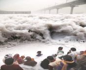 People offering prayers at the Yamuna River, India, which is frothing from industrial waste from yamuna actress