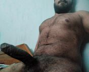 24 Indian bro here, let me know what you fellow beardbros think! Hmu to connect if you like showing off :P from real indian bro sister sex videostrina kaif