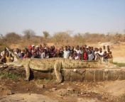 The people in a village on the Niger River in Africa were losing fellow villagers at such a rapid rate that they had to call in the Army to hunt down the culprit: a 22-foot, 2,500-pound crocodile. from africa farmer village