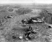 Dead Scot Highlander troops in their kilts and stripped of their boots and socks with their other kit spread around; Western Front, circa 1916 from licy scot