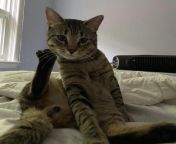 Send your kittys tinder pic from kitty duterte nude pic