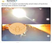 Mexican TV station accidentally aired video of testicles instead of the actual solar eclipse from maa tv relara rala folk video songs