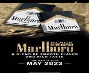 New Marlboro black gold pack tastes like cheap cigar from black gold