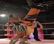 Angelina Love upside down and about to meet the ring canvas courtesy of Awesome Kong from awesome kong tna nip slip