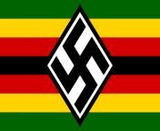 Nazi Zimbabwe from zimbabwe