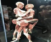 [50/50] sex without skin (NSFW) &#124; a display of art in an Amsterdam museum (sfw) from anchor chitralekha nude sex without dress
