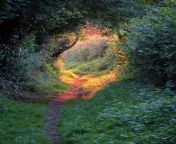 Magical Golden Hour, Shropshire, England [OC] [5196 x 3907] from oc china x