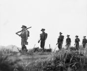 Korean War. 30 July 1953. Soldiers of Support Company, 2nd Battalion, Royal Australian Regiment (2RAR), move from The Hook defences to the Demilitarised Zone (DMZ) 72 hours after the cease fire. (1280 x 1014) from 德国杜伊斯堡哪里找美女包夜服务qq259686539德国杜伊斯堡美女上门约炮服务qq259686539德国杜伊斯堡怎么找小姐上课服务 德国杜伊斯堡上门小妹包夜服务 1953