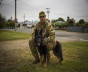 20 November 2013. Corporal Steve Govett and Akirra, both with the Royal Australian Corps of Military Police (RACMP), take a break while conducting a presence patrol during Exercise Southern Katipo 2013 (SK13) at Waimate, New Zealand. (1280 x 853) from userimage2 360 2013