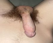 Hairy teen penis from small teen penis