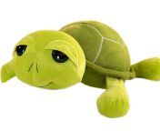 and the continuing adventures of badly named stuffies, meet a girl turtle named Mr Gravyiytiurgfart from guide named