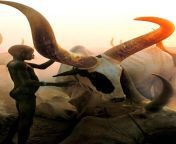 ? The mythical-looking Ankole cows of the Dinkas people in South Sudan ? from south sudan