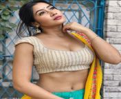 Sonia Ansari navel in creamy top and green ghagra from sonia mann navel