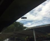 Saw a couple of flies having sex on my car window from images of couple having sex on bed
