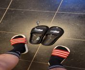 [Slides] Blasted Lacoste Croco Slide and wearing Adidas Adilette from attps adultpic top slides 12 andee daaunty