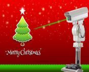 Merry Christmas!! Wish all the friends a merry christmas and happy new year~~ #bird deterrent www.laserdeterrent.com from www shaz