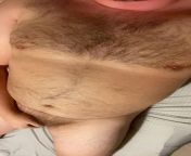 35 Gay HairyBear Daddy - Renanx97x from indian gay nude daddy