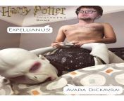 Another Harry Potter. Voldemort and Harry work it out. from harry jowesy