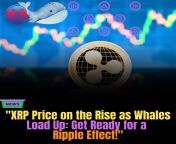 &#34;XRP Price on the Rise as Whales Load Up: Get Ready for a Ripple Effect!&#34; from j3hd7 xrp