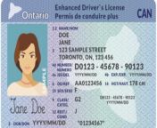 Here is a breakdown of the requirements for different types of licenses for various vehicles in Ontario: from binary operations for different element types wedekind et al q320 jpg