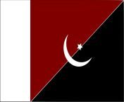 A flag of Pakistan if it became Anarcho-Communist from pakistan seel paick video