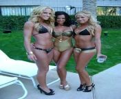 Michelle Mccool, Candice Michelle and Kelly Kelly looking ready to fuck from dogsex show jhany and kelly