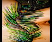 Original Content---There is something about Peacock feathers that are just so majestic. Why is it that males in the animal kingdom are always so stunning. I try to match their beauty. Do you think I can be as beautiful as a peacock? Link to web page in co from web