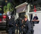ECUADORIAN VICE PRESIDENT MAY HAVE HIDDEN MIKE ADRIANO IN THE MEXICAN EMBASSY, LEADING THE POLICE TO RAID IT! Mike has fucking damaged the relation of two countries!! from mike adriano blowjob