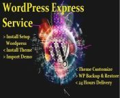 Check out my Gig on Fiverr: install wordpress setup backup and restore for your website from wordpress monique
