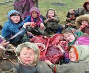 Nenets children eating reindeer meat, Yamal-Nenets Autonomous District, Russia from femcan eating cock meat 3d