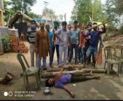Full On Taliban Style Rule in West Bengal right now - TMC Goons pose for Picture with dead body of BJP worker Sudip Biswas after lynching him to death in broad daylight - no fear of Police or law from www vidous comew bengali village bhavi of west bengal