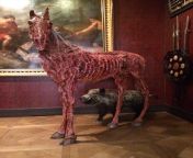 Apocalyptic horse in the Museum of hunting and Nature, Paris. from gand ki chudai pics of balveer and rani paris aunty