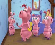 I have a question. If Pig is the Piglets&#39; uncle, then where&#39;s their (Piglets; sic) aunt, mom and dad? from devil piglets nursing