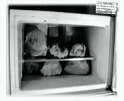 A police photo from the home of Jeffrey Dhamer, showing a freezer full of human heads. from pauli dhamer bf