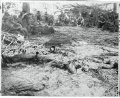 (Original Caption) 12/4/43-Tarawa, Gilbert Islands: Battle-weary U.S. Marines rest in background during a breathing spell in the battle of Tarawa. In foreground lie a dead American Marine and a Japanese soldier, both of whom fell in the battle. The Americ from battle of musanga