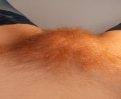 You are allowed to lick my hairy mound from 155 chan hebe res 163 peeingimi grewal xxx nude hairy pussy photoanilun xxx