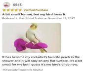 bird from bird penis