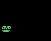 Will The DVD Logo Hit The Corner? from disney dvd logo