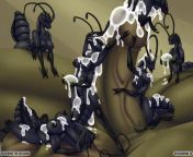 Ants from coto calar sata vaber codacudeelugu ants six videos