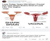Shut the fuck up with your fancy names for different organs. If it’s connected to the vagina, it becomes the vagina… including this shark. from pequeña vagina