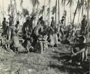 Some of the 166 Japanese POWs captured during the battle of Kwajalein, February 1944. Due to the Japanese habit of blowing themselves up to kill their would-be captors, those who surrendered were often made to strip completely in order to ensure they were from enf cmnf forced exhibitionism video japanese teacher made to strip naked during class in front of