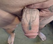 (45) You do understand this 9 inch cock doesn&#39;t suck itself....right,? from 24 inch cock for lisa 007 jpg