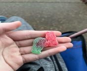 Found a sour patch kid sucking off another sour patch kid from taste testing sour patch popsicles