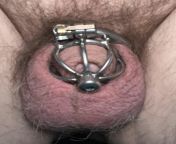 Tiny dick locked in chastity with urethral tube. from tiny satan