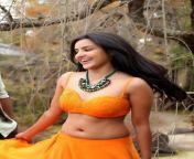 ? Priya Anand navel ?? from tamil actress priya anand nude and naked without dress